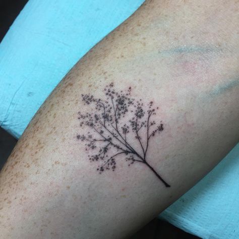 Yvo on Instagram: “A little tree tattoo... makes me wanna run off to nature! #smalltattoo #littletattoo #treetattoo #delicatetattoo #femininetattoo” Crape Myrtle Tree Tattoo, Crape Myrtle Tattoo, Japanese Maple Tattoo Design, Japanese Maple Tree Tattoo, Silver Maple Tree Tattoo, Madrone Tree Tattoo, Maple Tree Tattoo, Maple Tree Seed Tattoo, Cherry Tree Tattoo