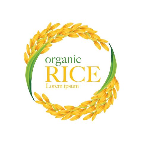 Logo Rice, Rice Crop, Rice Packaging, Rice Mill, Wine Logo, Realistic Illustration, Cartoon Character Tattoos, Food Sketch, Organic Rice