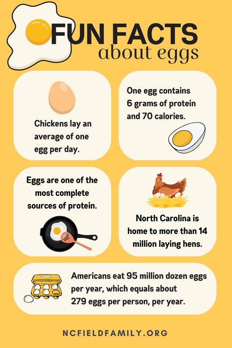 Whether you’re dyeing them for Easter or enjoying them scrambled, deviled or fried, eggs are a springtime staple. Eggs are so popular, in fact, that the average American consumes 290 of them per year. Check out a few more fun facts about the incredible, edible egg. Agriculture Facts, Egg Facts, Egg Nutrition Facts, Farm Facts, Fun Facts For Kids, Healthy Living Motivation, Food Health Benefits, Magnesium Deficiency, Cooking For Beginners