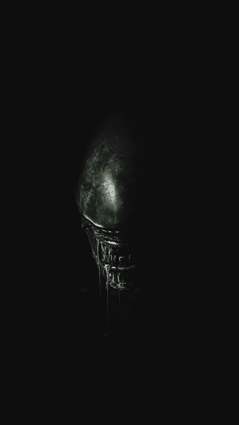 Movie Phone Wallpaper, Giger Alien, Predator Artwork, Predator Alien Art, Alien Isolation, Aliens Vs Predator, Alien Movie, Alien Xenomorph, Artistic Drawings