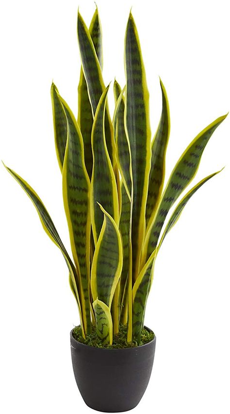 Amazon.com: Nearly Natural 26 in. Sansevieria Artificial Silk Plants, Green: Kitchen & Dining Sansevieria Plant, Hanging Plants Indoor, Plant Decor Indoor, Silk Plants, Plant Aesthetic, Monstera Plant, House Plants Decor, Cactus Y Suculentas, House Plants Indoor