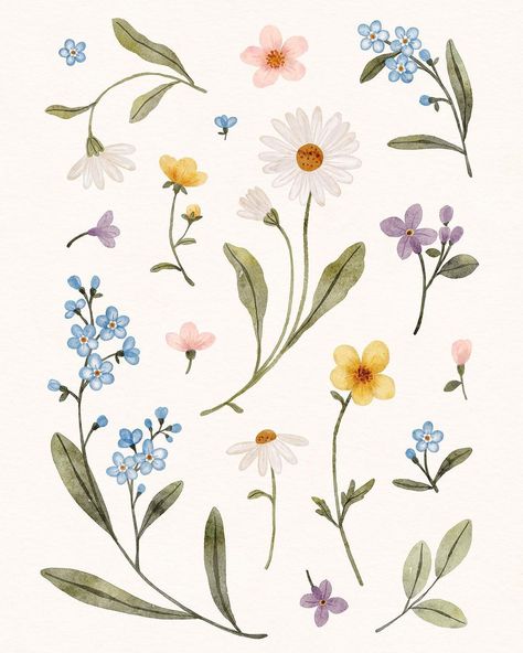 Diy Pottery Painting, Sports Graphic Design, Botanical Painting, Graphic Wallpaper, Flower Doodles, Cute Patterns Wallpaper, Arte Floral, Illustration Character Design, Flower Illustration