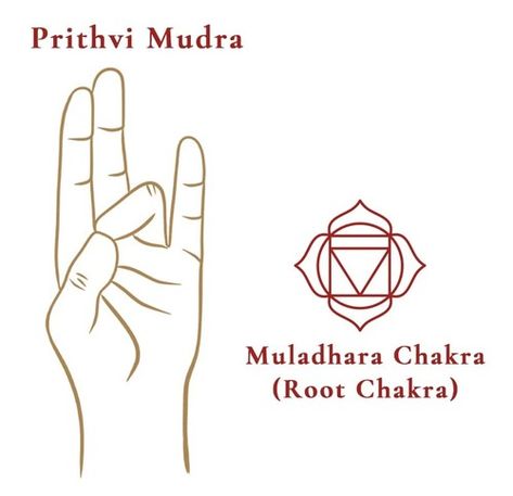 Prithvi Mudra Muladhara Mudra, Prithvi Mudra Benefits, Root Chakra Hand Mudra, Karana Mudra, Ashwini Mudra, Prithvi Mudra, Jnana Mudra, Uttarabodhi Mudra, Vishuddha Chakra