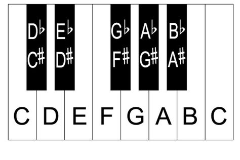 Sharps and Flats Piano Keyboard Notes, Piano Scales, Keyboard Lessons, Online Piano Lessons, Blues Piano, Not Musik, Guitar Practice, Piano Teaching, Piano Keys