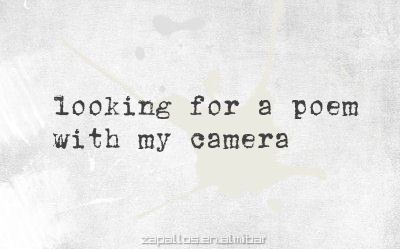 Poem About Photography, I Am A Photographer, Poems About Photography, Capturing The Moment, Film Photography Quotes, Quotes About Photos, Photographer Quotes, Camera Quotes, Photography Poetry