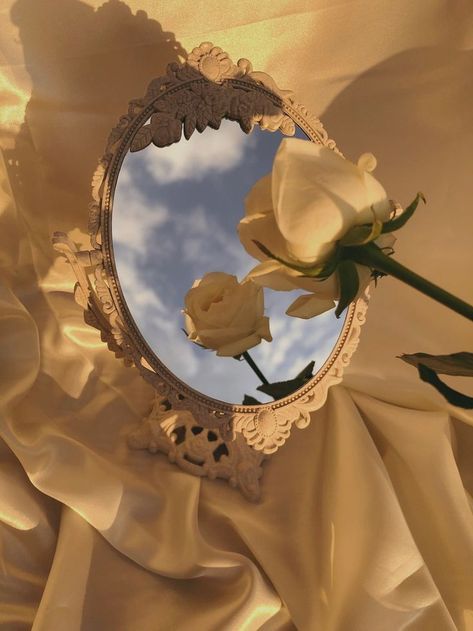 Aesthetic Flower Profile Picture, Luxury Gold Aesthetic, Champagne Aesthetic Color, Elegant Asthetic Picture, Yellow Rose Aesthetic Vintage, Yellow Cream Aesthetic, Gold Astetic, Champagne Gold Aesthetic, Cream And Gold Aesthetic