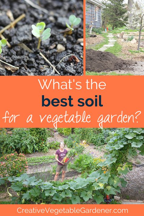 What is the best soil for a vegetable garden so you get lots of harvests all season long? Best Soil For Vegetable Garden, Soil For Vegetable Garden, Garden Soil Mix, Vegetable Garden Soil, Loamy Soil, Soil Science, Growing Vegetables In Pots, Raised Vegetable Gardens, Soil Types