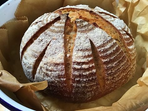 Baking sourdough with spelt and kamut/khorason flour… – The home of great sourdough Kamut Sourdough Bread, Kamut Sourdough, Kamut Flour, Discard Recipes, Yeast Breads, Spelt Flour, Sourdough Baking, Sourdough Bread Recipe, Ancient Grains