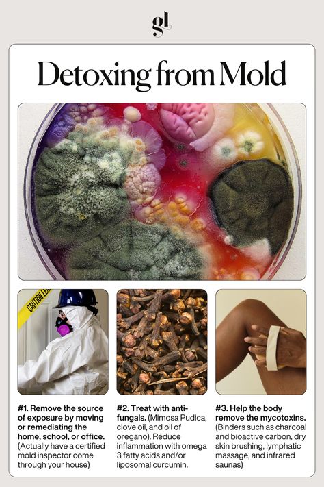 Mold Detox: Reset Your Health After Exposure 🔄🚫🍄  Discover how mold affects your body, from respiratory issues to chronic fatigue. Learn about its links to autoimmune conditions, neurological disorders, and CIRS.  Find top tips for detoxing from mold and reclaiming your health!  Want more? Join our FREE 10-part masterclass "The Gut-Autoimmune Solution" starting August 19th. 30 experts share insights on mold's role in autoimmune disease. Sign up with the link in our bio.  #goodnesslover How To Detoxify Your Body Naturally, Mold Detoxing, Detoxing Your Body From Toxins, Hair Detox, Mold Exposure, Medical Herbs, Body Detoxification, Ayurvedic Healing, Herbal Healing