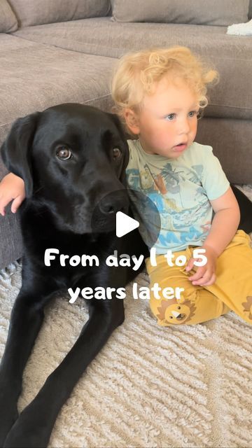 Dog Love Video, Talking Dog, Inspiring Photos, Crazy Dog Lady, Lab Puppy, My Relationship, Very Cute Dogs, Cute Puppy Videos, Funny Dog Pictures