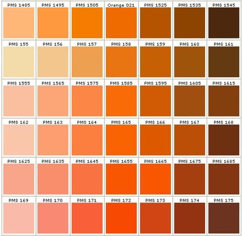 pantone colors in orange Orange Color Pantone, Pantone Orange, Tan Paint, Sky Game, Pantone Color Chart, Interior Paint Colors Schemes, Pantone Palette, Bedroom Colour Palette, Orange Color Palettes