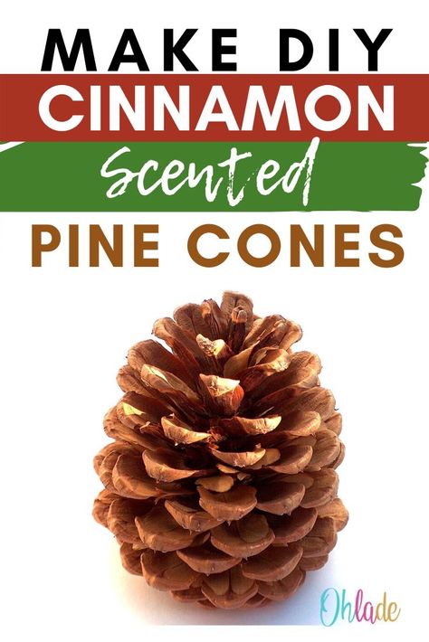 Pinterest Tribes, Scented Pine Cones, Diy Cinnamon, Scented Pinecones, Cones Diy, Halloween Pumpkin Diy, Pinecone Crafts Christmas, Love Crafts, Diy Scent