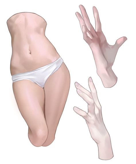 Female Body Pose Reference, Body Digital Art, Anatomy Study Reference, Body Drawing Tutorial, Human Anatomy Art, Anatomy References, Body Anatomy, Art Help, Digital Painting Tutorials