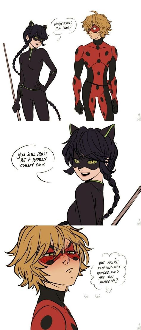 Marichat Comic, Comics Ladybug, Ladybug E Catnoir, Catnoir And Ladybug, Mlb Comics, Miraculous Ladybug Kiss, Lady Noir, Ladybug Wallpaper, Miraculous Ladybug Oc