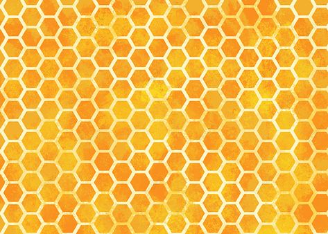 Honey Watercolor, Honey Background, Honeycomb Background, Baby Shawer, Rainbow Paper, Floral Branch, Santa Rita, Black And White Background, Watercolor Abstract