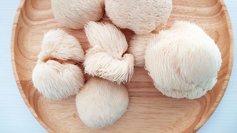 If you have frequented a farmers’ market recently (or live near a bougie grocery store), you might have seen them. They look like pale little tribbles—fluffy and soft and kind of cute—but they are mushrooms, and they have a sinister side (they murder trees). Lions Mane Benefits, Lions Mane Mushroom Recipe, Low Fiber Foods, Mushroom Recipes Pasta, Mushroom Grow Kit, Lions Mane, Lions Mane Mushroom, Lion's Mane, Lion Mane