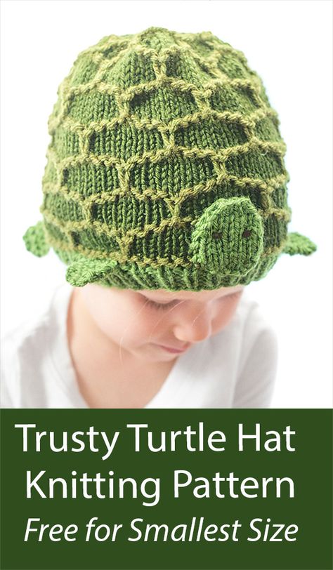 Turtle Hat, Turtle Baby, Double Pointed Knitting Needles, Baby Hat Knitting Pattern, Knitting Hat, Hat Knitting Pattern, Baby Hat Patterns, Knitting Patterns Toys, Aran Weight Yarn