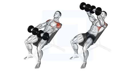 Lat Workout, Bent Over Row, Traps Workout, Shoulder Workouts, Dumbbell Workouts, Upper Back Muscles, Bench Workout, Incline Bench, Six Pack Abs Workout