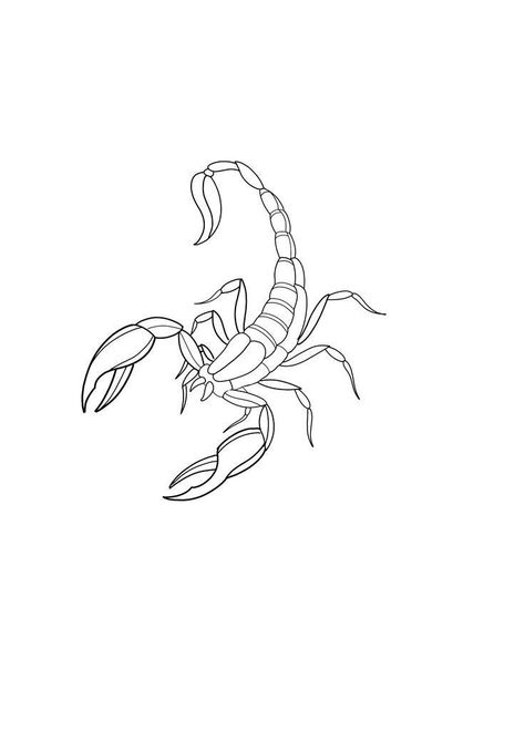 Simple Scorpion Tattoo Outline, Fineline Scorpion Tattoo, Scorpion Line Tattoo, Fine Line Scorpion Tattoo, Scorpio Outline, Scorpion Tattoo Outline, Scorpion Sketch, Scorpio Drawing, Scorpio Tattoo Design