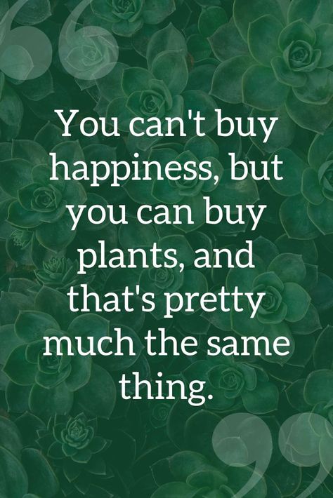 Quotes Gardening, Garden Quotes Signs, Landscaping Quotes, Gardening Quotes, Garden Works, Plants Quotes, Garden Quotes, Buy Plants, Flower Quotes