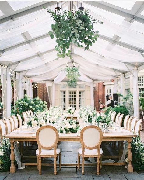 Jessica Haley Bridal Boutique on Instagram: “Greenery with a touch of white is always an elegant look for a wedding! Perfect for an indoor/outdoor setup! @whitegloverentals…” Morris House Hotel Wedding, Intimate Garden Wedding, Intimate Garden, Secret Garden Wedding, Farm Tables, Philadelphia Wedding, Farm Table, Wedding Reception Decorations, Hotel Wedding