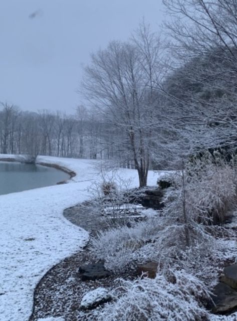 Indiana Aesthetic, Snow Winter Aesthetic, Northern Attitude, Kokomo Indiana, Childrens Museum, Snow Winter, Winter Aesthetic, 50 States, American Dream