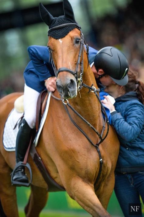 Equestrian Couple, Horse Couple, Horsey Life, Equestrian Aesthetic, Beautiful Horse Pictures, Horse Riding Clothes, English Horse, Riding Clothes, Horse Aesthetic