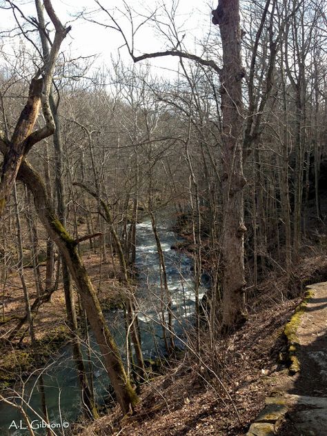 The Natural Treasures of Ohio: Early Bloomers at Clifton Gorge State Nature Preserve Month Of March, Sweet Time, Nature Preserve, Ohio, Plants, Nature