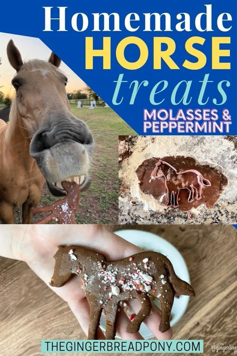 Molasses Horse Treats, Diy Horse Cookies, Peppermint Horse Treats, Homemade Horse Treats Recipes, Horse Treats Recipe Easy, Horse Treats Recipe, Horse Stall Decorations, Horse Cookies Recipes, Homemade Horse Treats