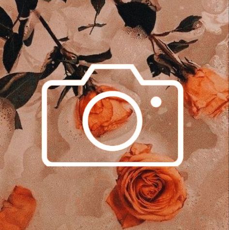 Aesthetic Camera Icon, Burnt Orange Aesthetic, Aesthetic Camera, App Pictures, Phone Aesthetic, Camera Icon, Orange Aesthetic, Burnt Orange, Art Design