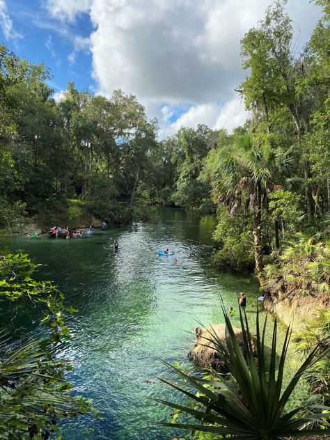 22 Affordable and Fun Central Florida Attractions for 2022 - The Florida Travel Girl Caladesi Island State Park, Tampa Riverwalk, Florida Attractions, Florida Parks, Florida Adventures, Florida State Parks, Florida Destinations, Florida Springs, Places In Florida