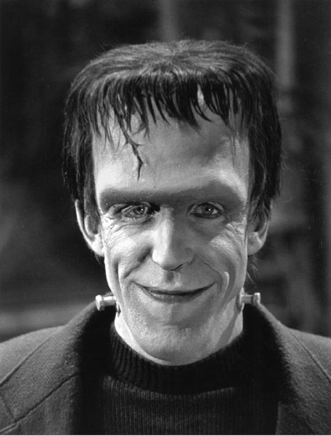 The Munsters 1964 - 1966,  Herman Munster - Fred Gwynne, Fred Gwynne, Munsters Tv Show, Herman Munster, The Munster, Yvonne De Carlo, Space Ghost, The Munsters, Mary Shelley, Movies And Series