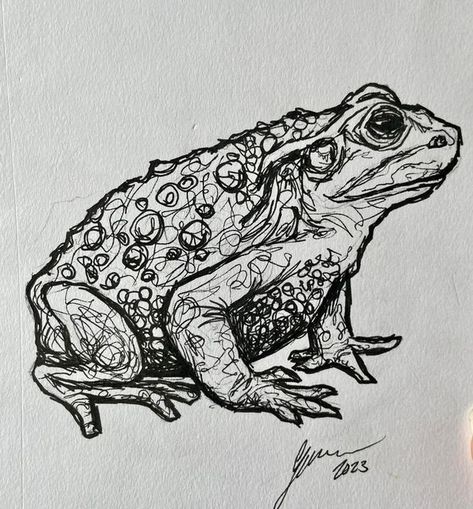 Giusiana on Instagram: "Inktober Prompt 8: Toad This one was done very loosely and shakily, because it was done on a moving bus, going over bumps and hills. (Pictured) I’m always amazed that I still get good, sometimes even BETTER results when I allow myself to loosen up and not focus too much on the details or mistakes #inktober #inktober2023 #inktober2023toad #inktoberchallenge #sketchbook #happylittleaccident" Toad Sketch, Toad Drawing, Drawing Inspo, The Wiz, Toad, Christmas Projects, The Details, Animal Drawings