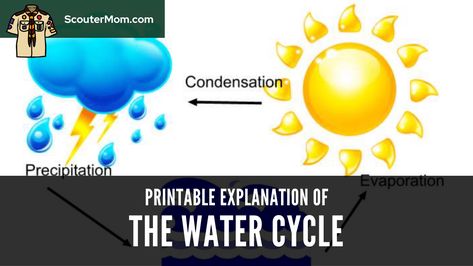 The water cycle is an important part of any discussion of the weather. This printable water cycle explanation aid will help explain it. Water Cycle Explanation, The Water Cycle, Math Stem, Water Cycle, Cycling, Engineering, Science, Technology, Turn Ons