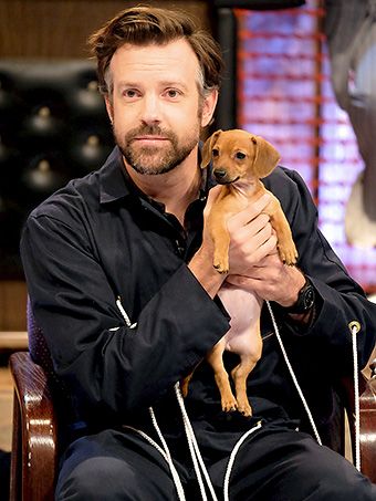 Jason Sudeikis, A Man, White