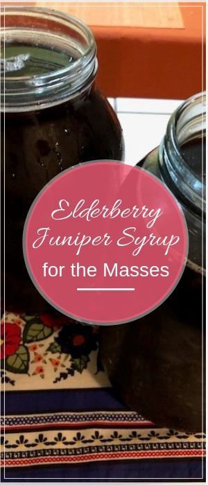 Elderberry Juniper Syrup for the Masses - Living Awareness Institute Juniper Syrup, Herb Tips, Making Medicine, Elderberry Syrup Recipe, Herbal Elixir, Indoor Herb, Elderberry Syrup, Cold Symptoms, Healing Oils