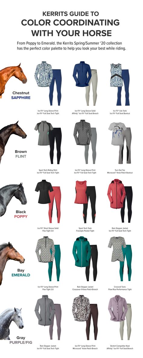 Horse Showmanship Outfits, Horse Color Chart Tack, Horse Show Outfits English, English Horseback Riding Outfit, English Horse Riding Outfits, Horse Show Outfits, Equine Outfits, Horse Riding Outfits, Horseback Riding Outfit