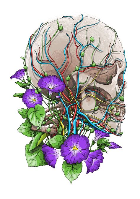 Works for CODEX ANATOMICUS Medical Art Creative, Codex Anatomicus, Anatomy Artwork, Flower Anatomy, Medical Artwork, Skull Painting, Medical Art, Floral Drawing, Art Competitions