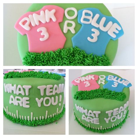 Gender Reveal Party!  Team Pink vs. Team Blue Blue Gender Reveal Cake, Blue Gender Reveal, Team Pink, Gender Reveal Cake, Team Blue, Reveal Party, Pink Vs, Reveal Parties, Gender Reveal Party