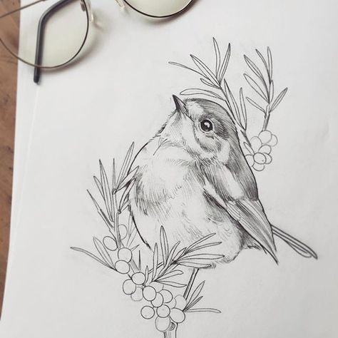 Wren Tattoo Design, Robin Tattoo Design, Floral Bird Tattoo, Robin Bird Drawing, Robin Bird Tattoos, Robin Drawing, Animal Stencil Art, Robin Tattoo, Goat Art