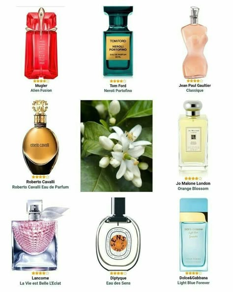 Jean Paul Gaultier La Belle, Koleksi Makeup, Movado Watches, Watches Cartier, Jasmine Perfume, Designer Perfumes, Jasmine Fragrance, Perfume Recipes, Parfum For Women