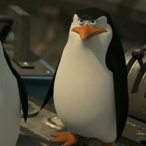 Penguin Of Madagascar GIF - Penguin Of Madagascar - Discover & Share GIFs Madagascar Penguins Funny, Gif Sticker Whatsapp, Penguins Of Madagascar Pfp, Penguins Of Madagascar Funny, Penguin Of Madagascar, Penguins From Madagascar, Penguin Gif, Penguins Madagascar, Madagascar Penguins