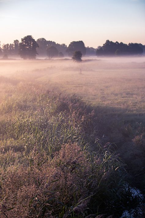 MORNING FOG I on Behance Foggy Summer Morning, Morning Fog Aesthetic, Soft Morning Aesthetic, Morning Core, Morning Light Photography, Fog Aesthetic, Hazy Morning, Fog Landscape, Foggy Weather