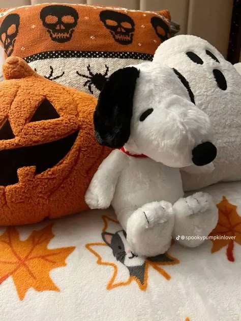 Snoopy Autumn Aesthetic, Snoopy Plushie Aesthetic, Snoopy Plush Aesthetic, Snoopy Fall Aesthetic, Snoopy Wedding, Snoopy Plushie, Snoopy Autumn, Fall Snoopy, Snoopy Aesthetic