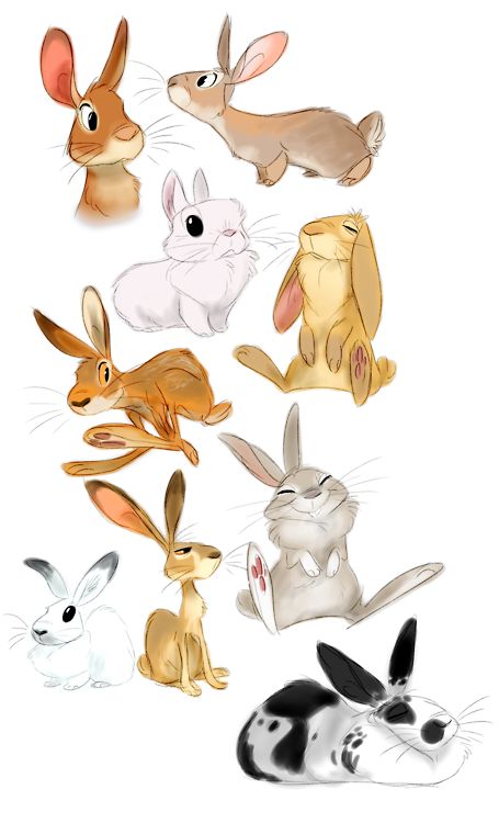 heffysdoodles:  Some warmup buns. (with a special guest some may recognize) Joe Madureira, Adam Hughes, 강아지 그림, Bunny Art, Drawing Tutorials, Peter Rabbit, Creature Design, 귀여운 동물, Animal Illustration