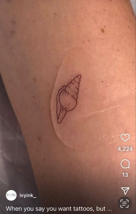 Fine Lime Flower Tattoo, Dainty Sea Shell Tattoo, Simple Conch Shell Tattoo, Shell Outline Tattoo, Tiny Conch Shell Tattoo, Sea Shell Tattoo Small Simple, Whelk Shell Tattoo, Shells Tattoo Ideas, Puka Shell Tattoo