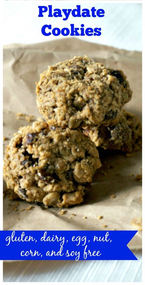 Corn Free Diet, Banana Breakfast Cookies, Corn Free Recipes, Banana Breakfast Cookie, Allergen Free Recipes, Banana Oatmeal Cookies, Soy Free Recipes, Oatmeal Chocolate Chip, Oatmeal Chocolate