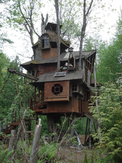 You've got to see this old treehouse that's hidden in our state! Beautiful Tree Houses, Cool Tree Houses, Tree House Designs, Unusual Homes, Play Houses, My Dream Home, Future House, A Tree, Tree House