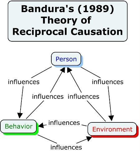 Education Theories, Nce Study, Psych Notes, Cognitive Theory, Social Work Theories, Problem Resolution, Social Cognitive Theory, Education Psychology, Observational Learning