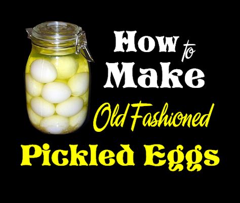 How To Can Pickled Eggs, How To Make Pickled Eggs, How To Pickle Eggs, Recipe For Pickled Eggs, Old Fashioned Pickled Eggs Recipe, Pickle Eggs, Spicy Pickled Eggs, Picked Eggs, Pickled Egg